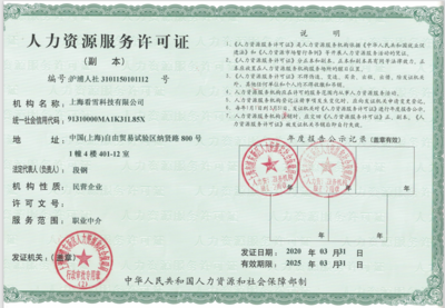 探索上海看雪科技的人力资源服务优势与创新实践